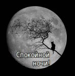 Спокойной ночи